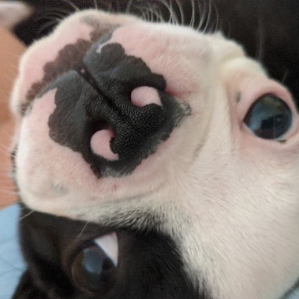 Meet your Posher, Liza